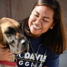 pet insurance at UC Davis veterinary