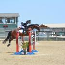 three-day eventing horse colic surgery at UC Davis veterinary hospital