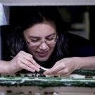 Kristin Aquilino, project manager for the white abalone program at Bodega Marine Laboratory, inspects year-old white abalone in 2017. (Joe Proudman / UC Davis)