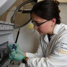 Veterinary Genetic Laboratory technician working at UC Davis