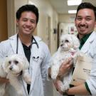 Students in hospital holding dogs