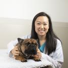 Dr. Karen Park, a surgery resident, performed a neurosurgery at the UC Davis veterinary hospital that allowed Barley to walk again.