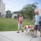 Two dogs walking with owners