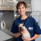 Dr. Kate Hurley is a pioneer in shelter medicine.