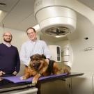 Veterinary radiology oncologist Dr. Michael Kent (right) with Dr. Arta Monjazeb, associate professor in the UC Davis Comprehensive Cancer Center’s Department of Radiation Oncology. 