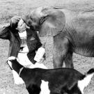 Dr. Jackie Gai and baby elephant