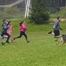 children running with dog