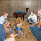 Dr. Julie Dechant, Hospital Director Dr. Jane Sykes, Large Animal Hospital Directory Dr. Bret McNabb, and I talk about a llama that was burned in the LNU Lightning Complex fire.