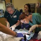 Dr. Peyton applies fish skin as treatment for dog burned in the Camp Fire.