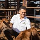 Dr. Sharif Aly with dairy calves.