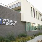 vet med building