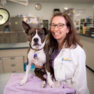 The UC Davis veterinary hospital has launched a free monthly series of public educational lectures.