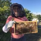 Dr. Jonathan Dear with his honeybees