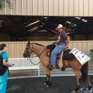 veterinarians with horse and rider at UC Davis veterinary hospital