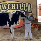 girl with dairy heifer showing award at fair