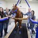 Heather Knych with horse