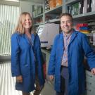 Drs. Danika Bannasch and Josh Stern