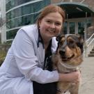 veterinarian with dog