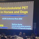 Dr. Mathieu Spriet presents research at the 2022 American College of Veterinary Radiology annual meeting.