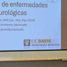 veterinarian lecturing