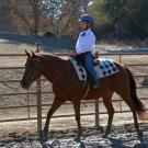 child on horse