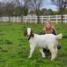 girl and goat in green field