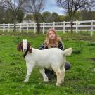 girl and goat in green field