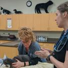 veterinary technician students and a veterinarian examine a cat