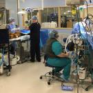 veterinary operating room at UC Davis