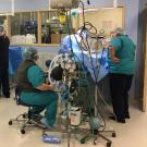 veterinary operating room at UC Davis