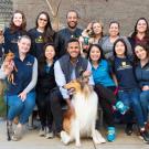 group of UC Davis veterinary students