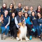 diverse group of veterinary students