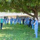 DVM students receive an equine lecture at the UC Davis School of Veterinary Medicine.