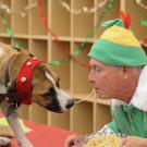 Happy Holidays from Dean Stetter