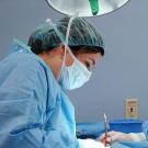 veterinarians performing surgery at UC Davis