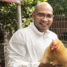 UC Davis MPVM student holding a chicken