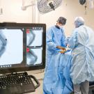 two veterinarians performing surgery