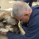 man and dog touching heads in comforting moment