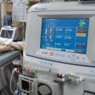 A dog undergoes a hemodialysis treatment at the UC Veterinary Medical Center – San Diego.