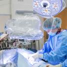 veterinarians in surgery