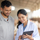 female veterinarian showing male worker information on portable computer while standing in poultry production facility
