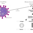 coronavirus graph