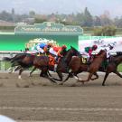 horse race