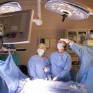 veterinary surgeons in operation room