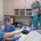 veterinary surgery scene