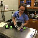 student with burned cat from wildfire