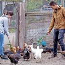 two 4H students feeding chickens