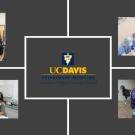 4 vets techs in the hospital.