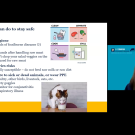 Dr. Ashley Hill shares tips on reducing your risk of contracting avian influenza during UC Health Grand Rounds webinar on February 19, 2025.