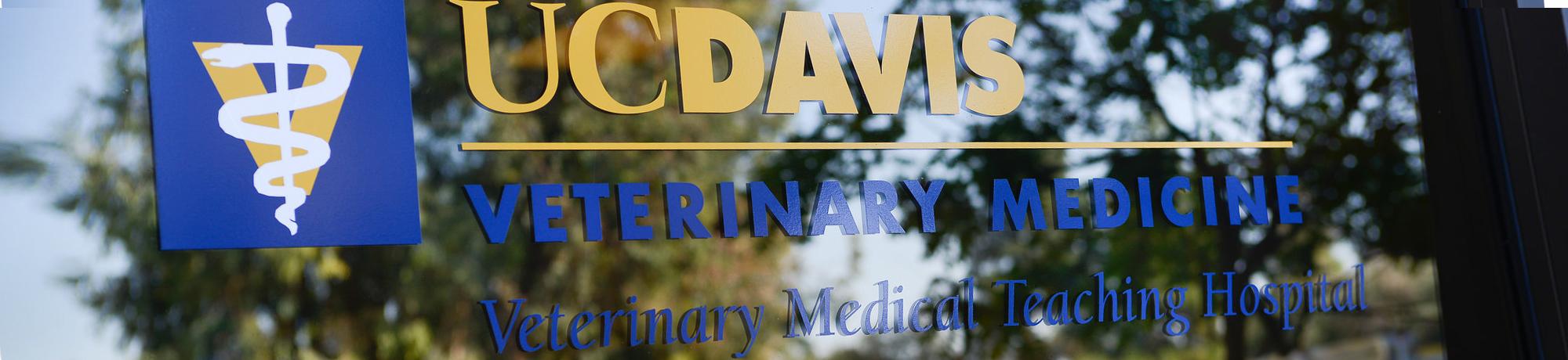 Appointments Referrals School Of Veterinary Medicine